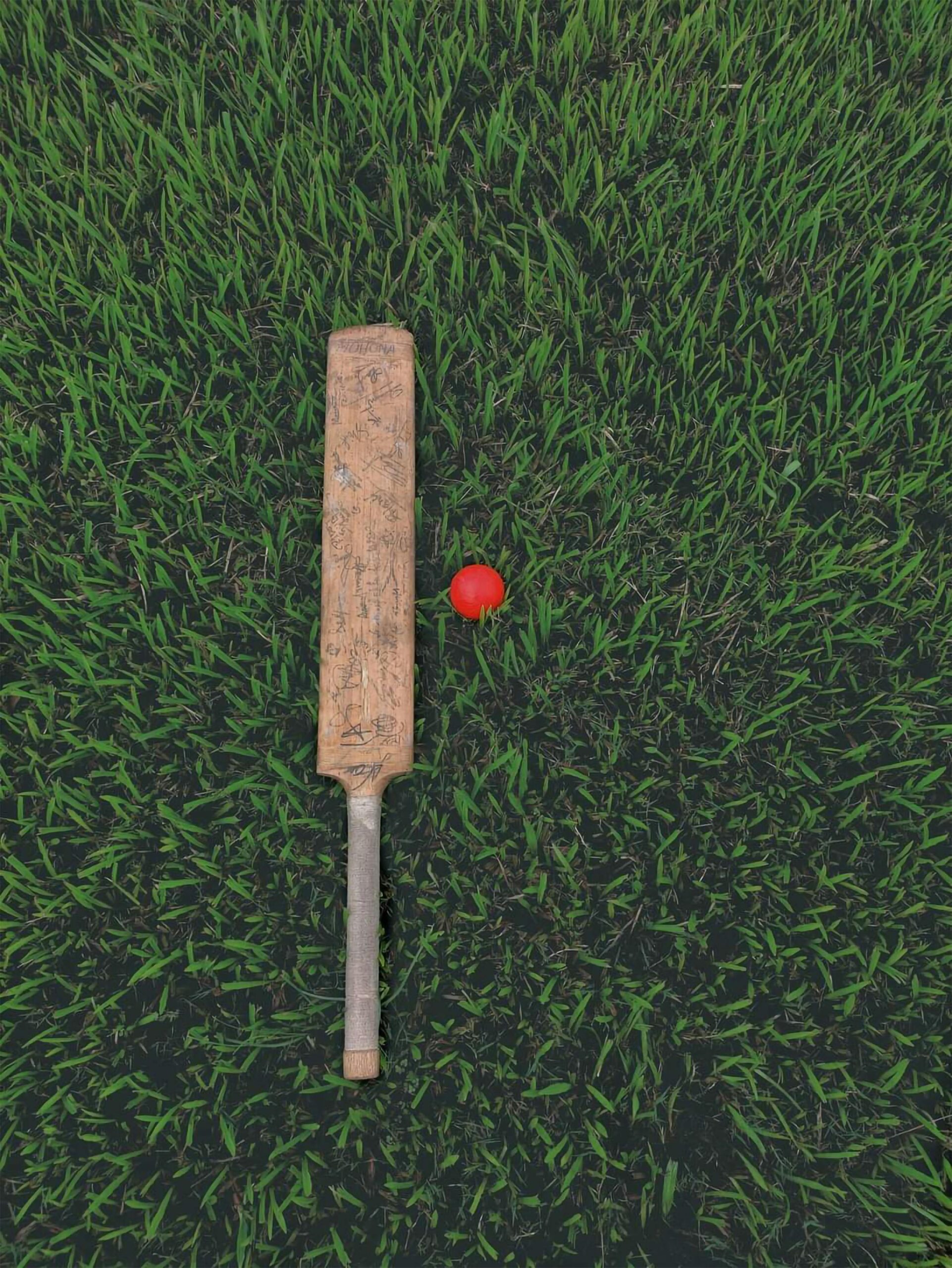 A cricket bat and ball placed on a grassy field viewed from above.
